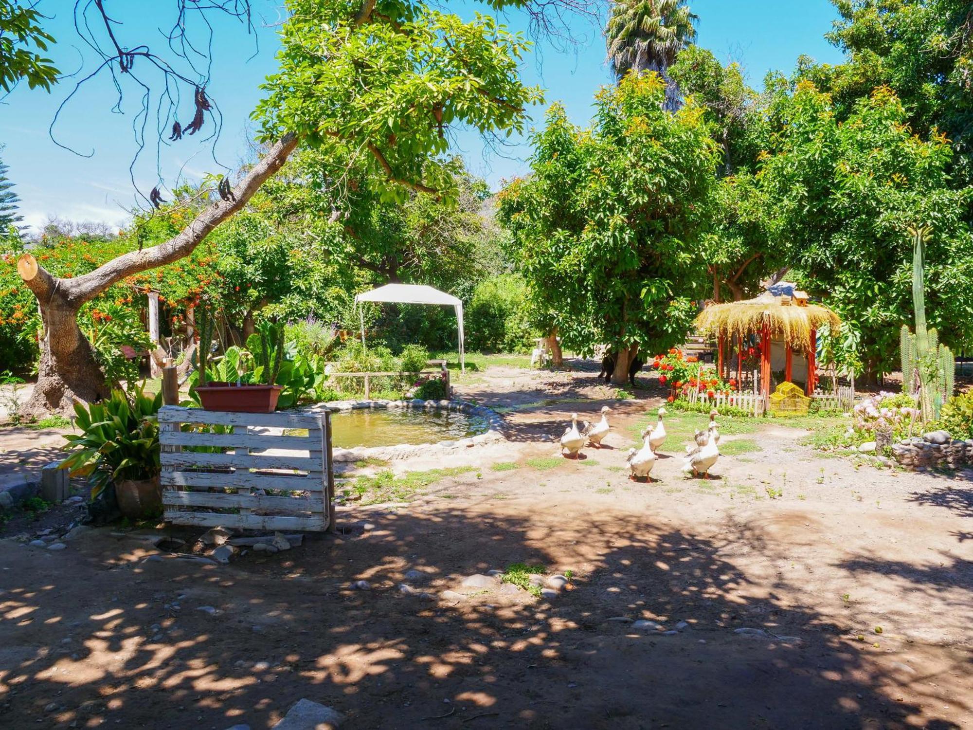 Alojamiento Rural Casa Quinta Peumayen Isla de Maipo Exterior photo