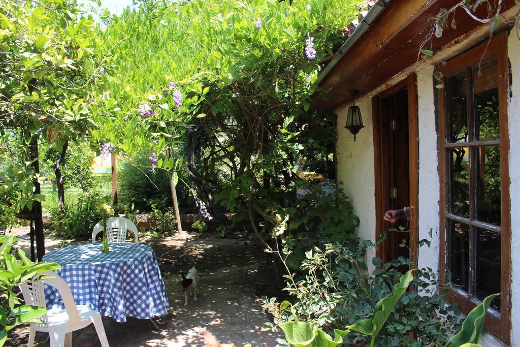 Alojamiento Rural Casa Quinta Peumayen Isla de Maipo Exterior photo